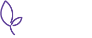Holistic Stretch